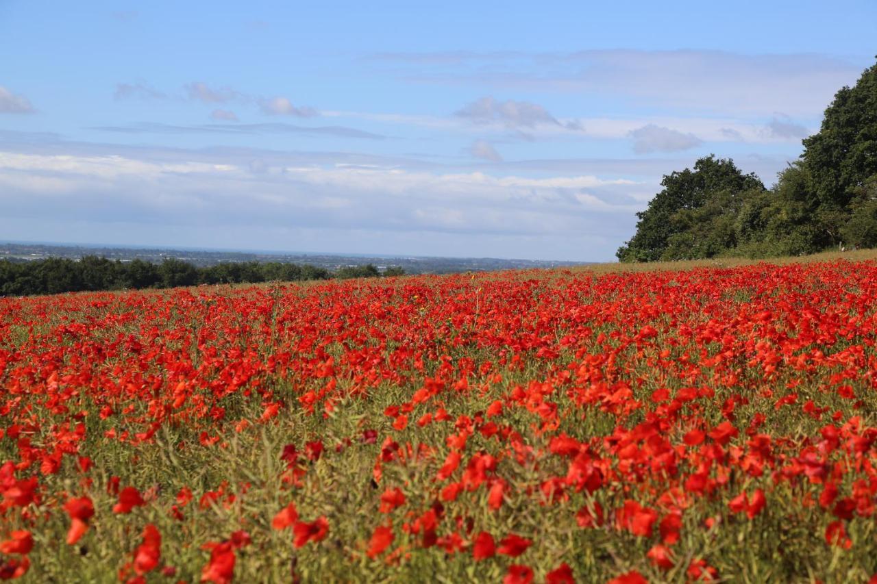 Charlton End - Goodwood Events Bed and Breakfast Chichester Esterno foto